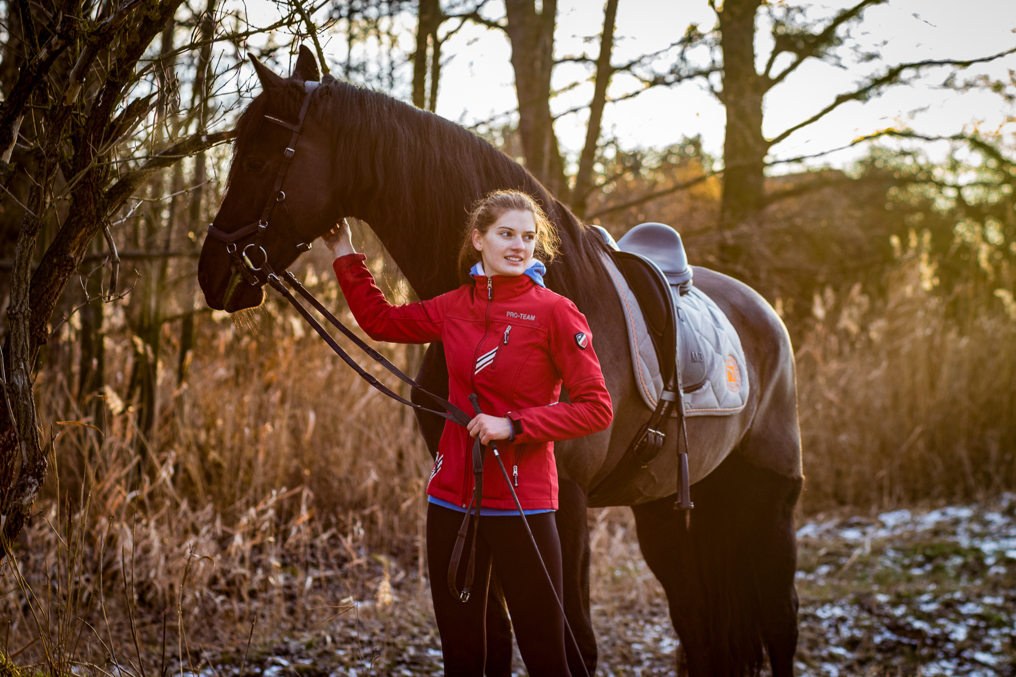 Fotím koně do 70 km od Děčína, portréty, pod sedlem, pohybovky ve volnosti. Fotograf koní, fotím koně, focení koní, drezura, parkur, western