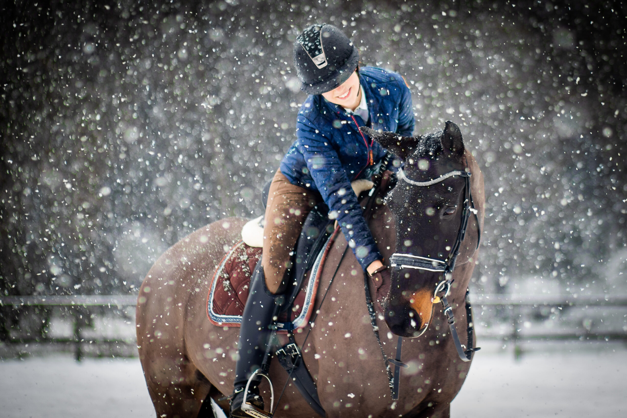 Fotím koně do 70 km od Děčína, portréty, pod sedlem, pohybovky ve volnosti. Fotograf koní, fotím koně, focení koní, drezura, parkur, western