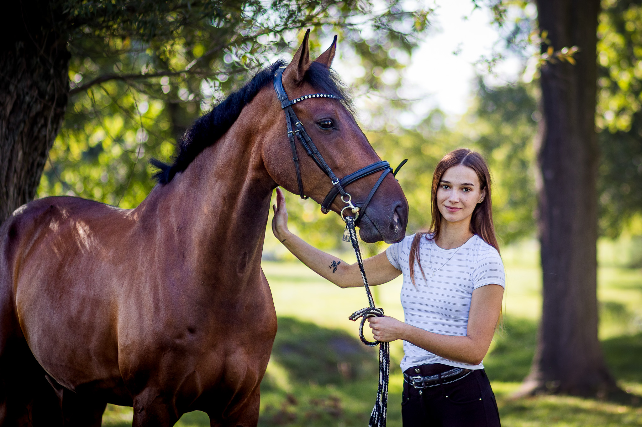 Fotím koně do 70 km od Děčína, portréty, pod sedlem, pohybovky ve volnosti. Fotograf koní, fotím koně, focení koní, drezura, parkur, western