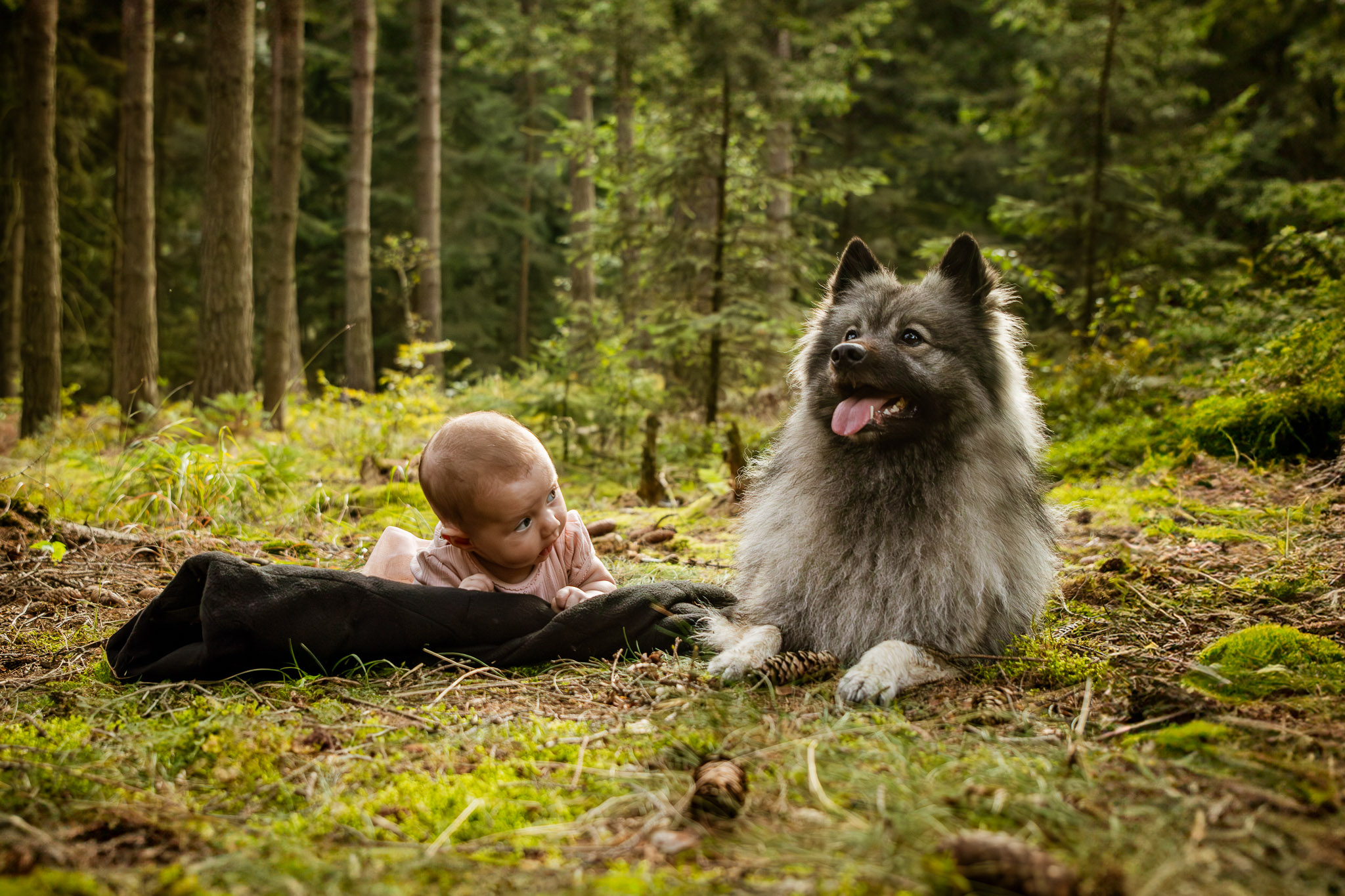 rodinná fotografka Děčín